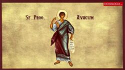 Sf. Avacum