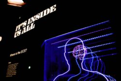 Neuralink, o companie a lui Elon Musk - bret-kavanaugh