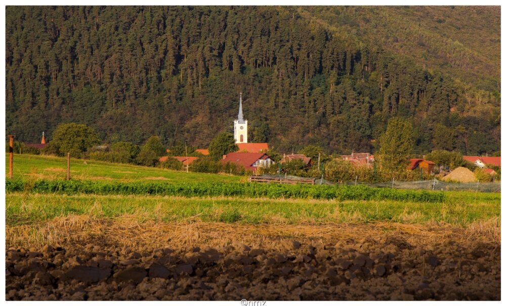 Biserica