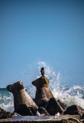 mare, valuri