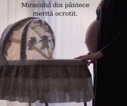 miracol