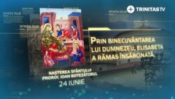 24 iunie: Nașterea Sfântului IOAN BOTEZĂTORUL, Sfântul NICETA de REMESIANA