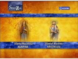 Sfânta Muceniță AGRIPINA și Sfântul Mucenic ARISTOLEU