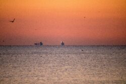 Mare, vapoare
