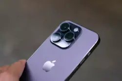 Thai Nguyen - apple
