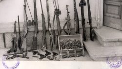 Zilele Rezistenței - arme