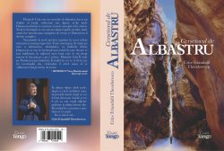 Cerșetorul de albastru