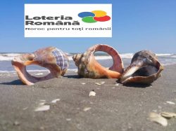 Tabăra Socială de Vară Cataleya, 2024 - loteria ro
