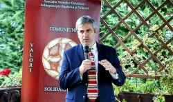 mircea platon
