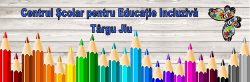 C.Ș.E.I. Tg-Jiu
