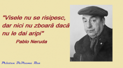 Pablo Neruda-vise
