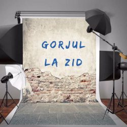 Gorjul la ZID