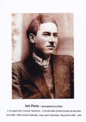 ion c pena