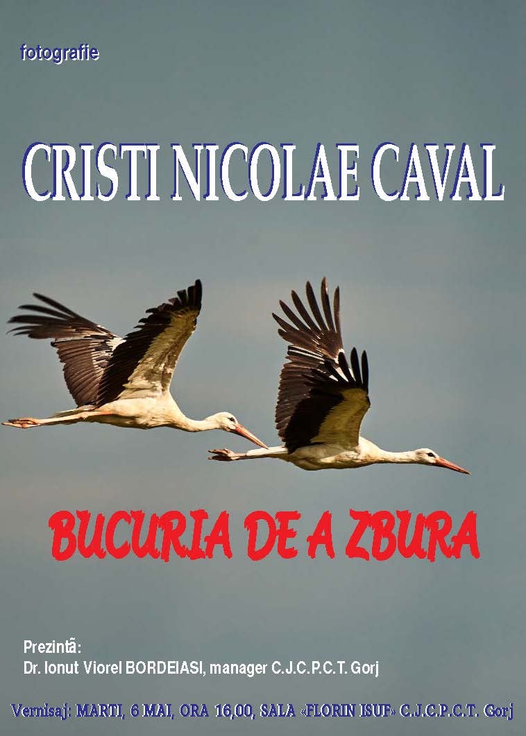 bucuria de a zbura