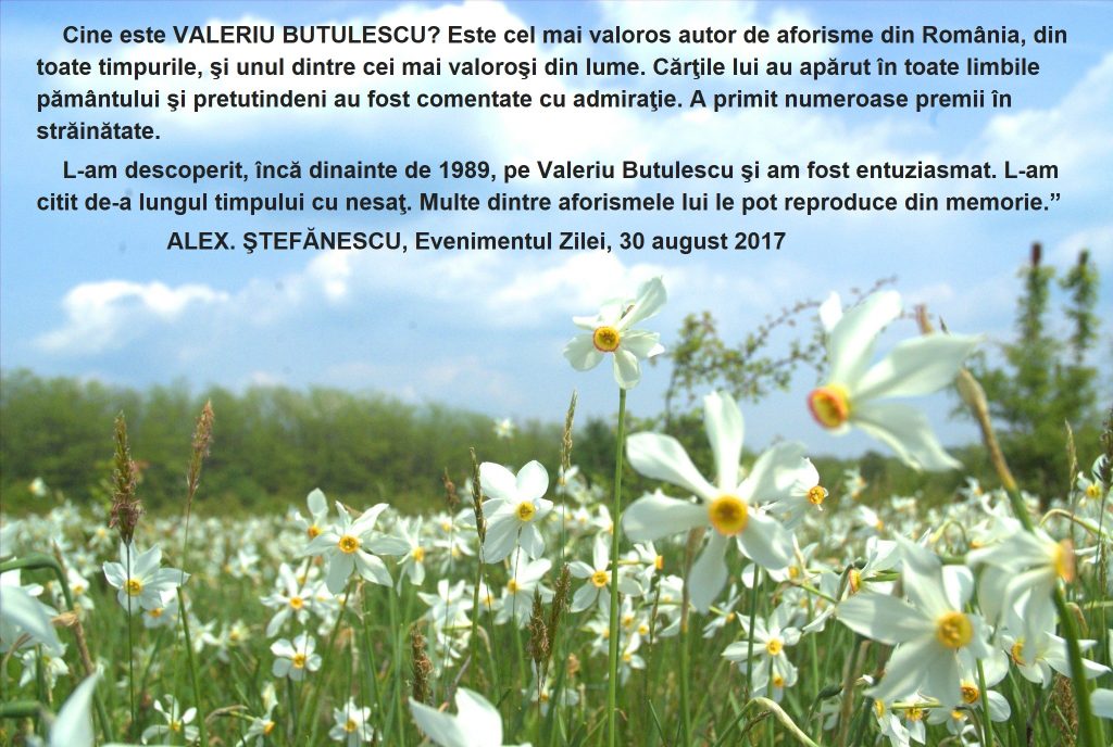 butulescu