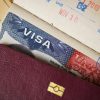 Carduri - Visa