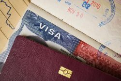 Carduri - Visa