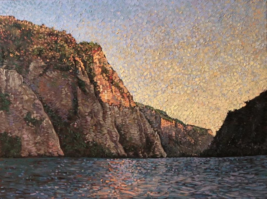 daniel suici