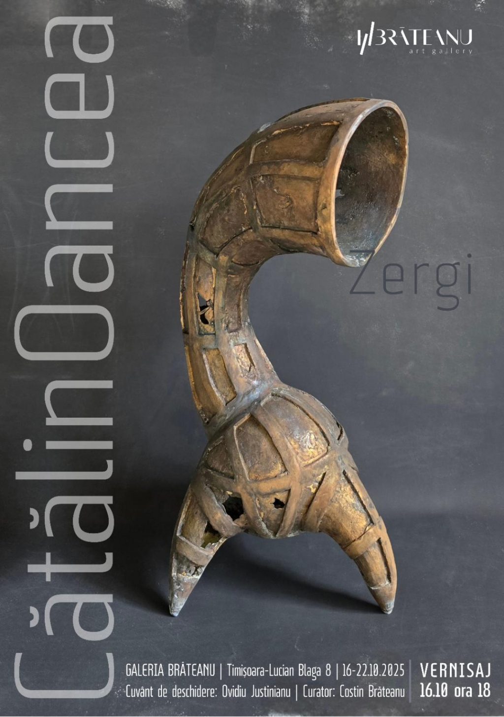 ZERGI