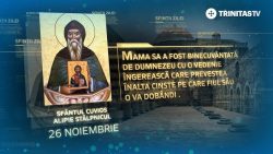 Sf. Cuv. Alipie Stâlpnicul, Nicon şi Stelian Paflagonul