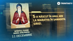 Sf. Cuv. Daniil Stâlpnicul și Luca cel Nou