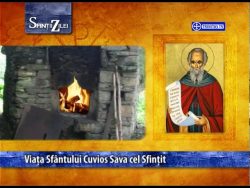 Sf. Cuv. Sava cel Sfințit; Sf. Mc. Anastasie