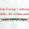 Bradul de Crăciun – rădăcină vie a tradițiilor, din vechime până azi