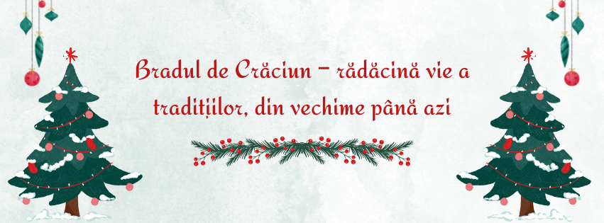 Bradul de Crăciun – rădăcină vie a tradițiilor, din vechime până azi