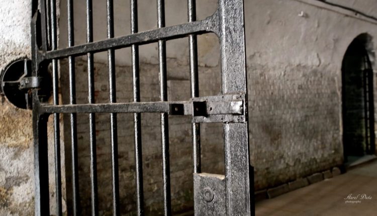 ANTIMEMORIA. Avatarurile stalinismului din 1950 până azi. Prezentare de carte: Răzvan Gheorghe