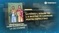 Sf. Mc. Tirs, Calinic, Filimon şi Apolonie