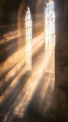 WhatsApp Image 2026-03-31 at 19.00.23