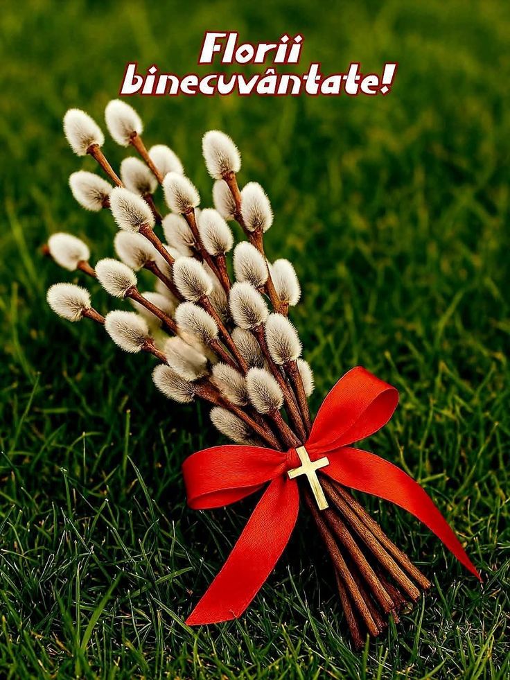 WhatsApp Image 2026-04-04 at 20.33.10