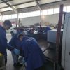 Segarcea - Mecanica Auto