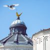 actualitatea-bisericii-comunicate-presa@2x