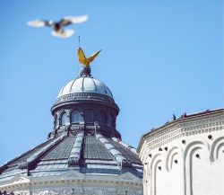 actualitatea-bisericii-comunicate-presa@2x